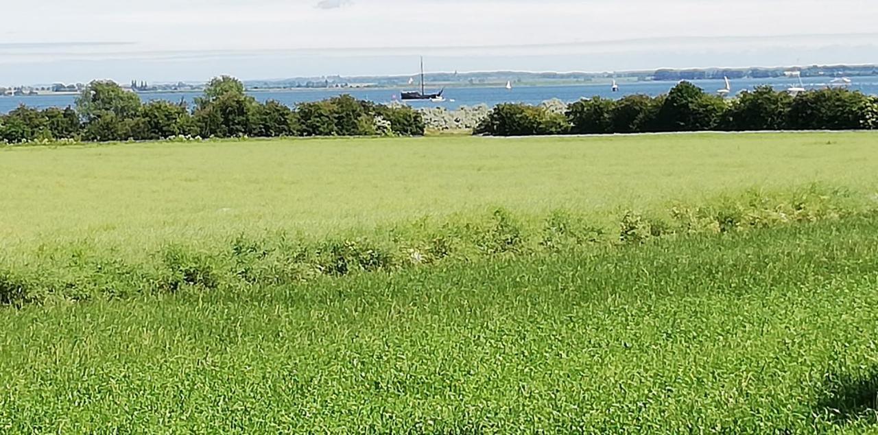 Dat Papenboerger Hus Zierow Eksteriør bilde
